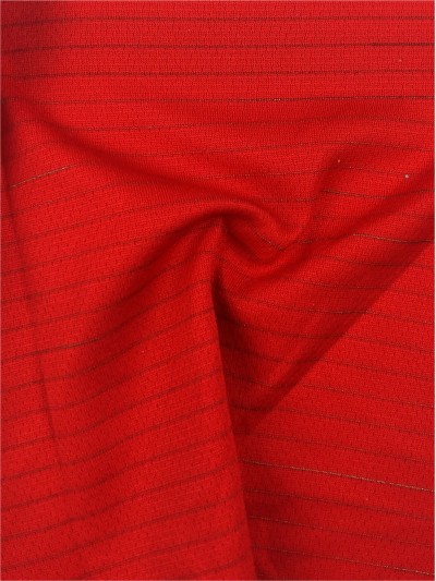 JS-YGXN CS99-2 鳥眼布 45度照